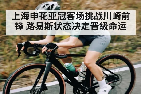 上海申花亚冠客场挑战川崎前锋 路易斯状态决定晋级命运